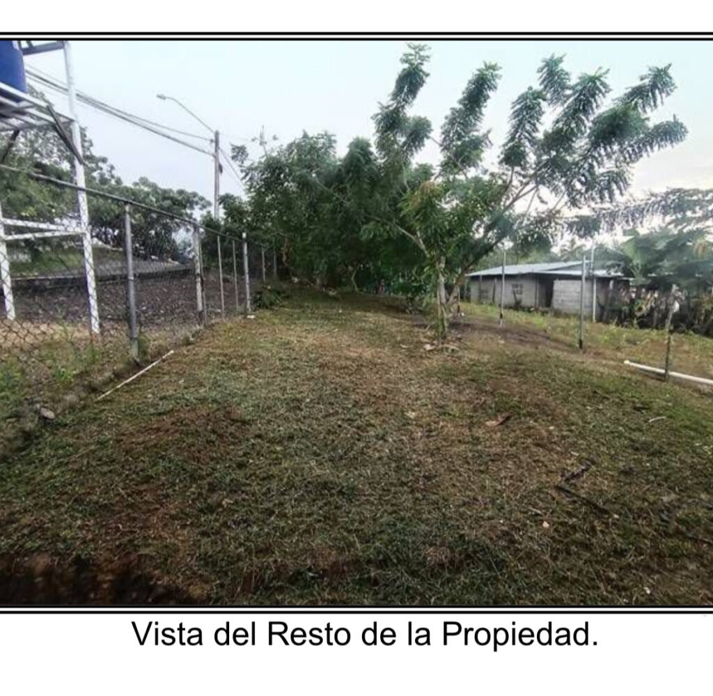 Venta de casa en Las Tablas: ¡Oportunidad única en La Palma por debajo del avalúo! patio